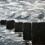 Light on Seagulls Devon Original acrylic painting