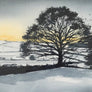 SOLD Tranquility