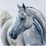 SOLD Free Spirit