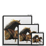 Wild and Free Framed Print