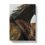 Wild and Free Hardback Journal
