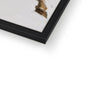 Wild and Free Framed Print