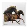 Wild and Free Framed Print
