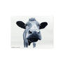 Poppy Temporary Tattoo