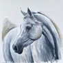 SOLD Free Spirit