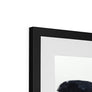 Poppy Framed & Mounted Print