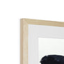 Poppy Framed & Mounted Print