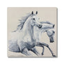 Free Spirits Canvas