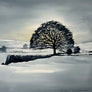 Original Painting Dartmoor Devon