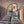 SOLD Venice Light Original Painting