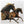 Wild and Free Sticker