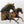 Wild and Free Temporary Tattoo